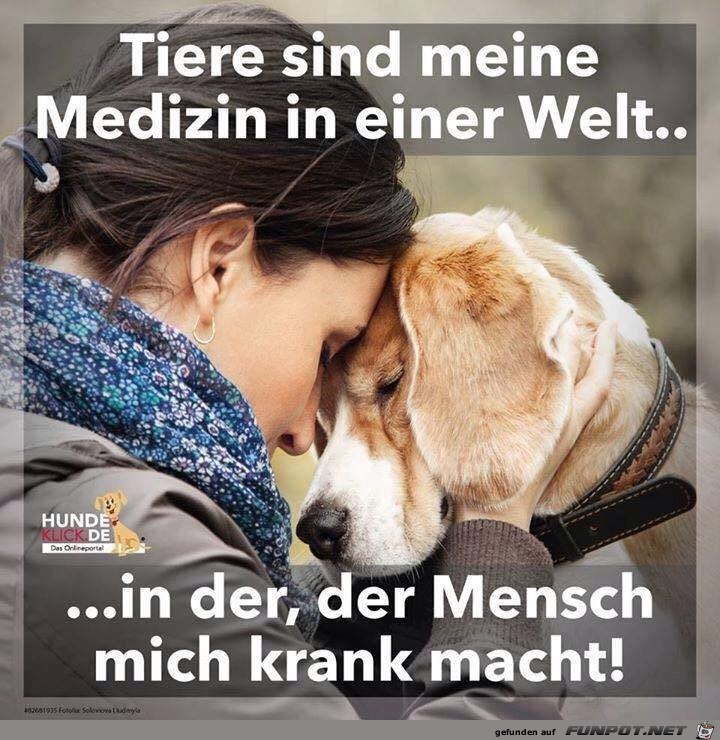 Tiere sind meine Mediizin