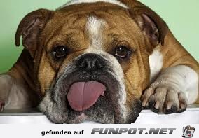 Entspannt Entspannt