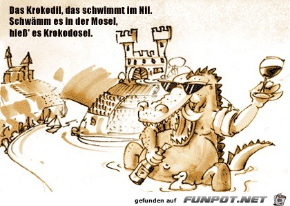 Illustration-Krokodo Illustration-Krokodo