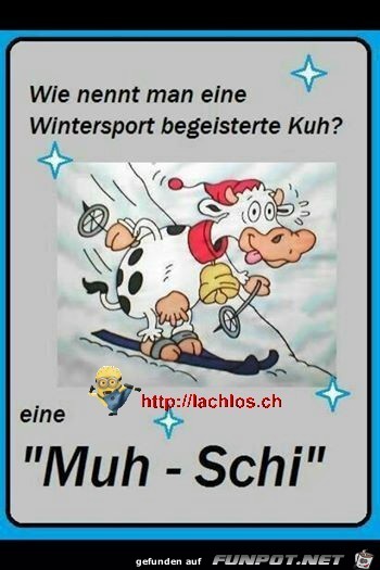 wie nennt man diese Kuh wie nennt man diese Kuh