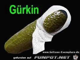 Gürkin Gürkin