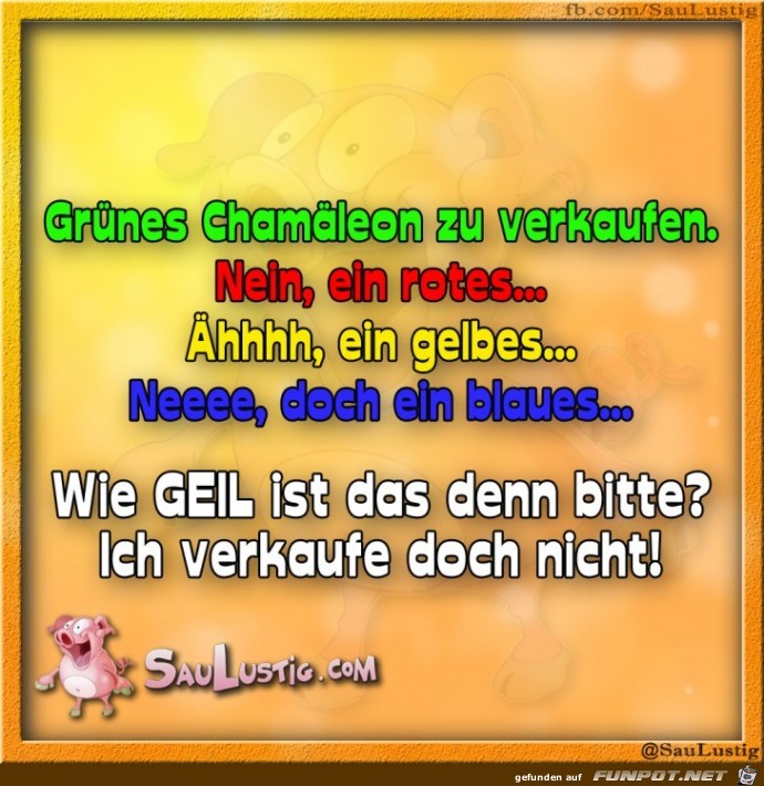 Gruenes-Chamaeleon Gruenes-Chamaeleon