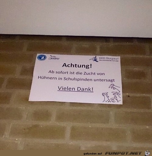 Ab sofort ist die Zucht von Huehnern Ab sofort ist die Zucht von Huehnern