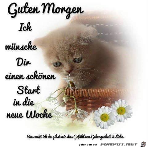 Guten Morgen 