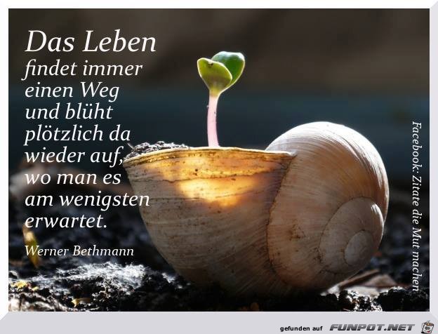 Das Leben