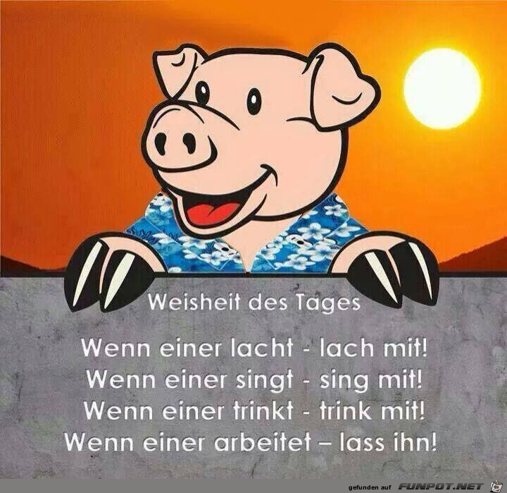 Weisheit des Tages Weisheit des Tages