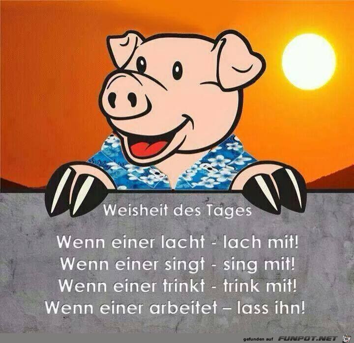 Weisheit des Tages