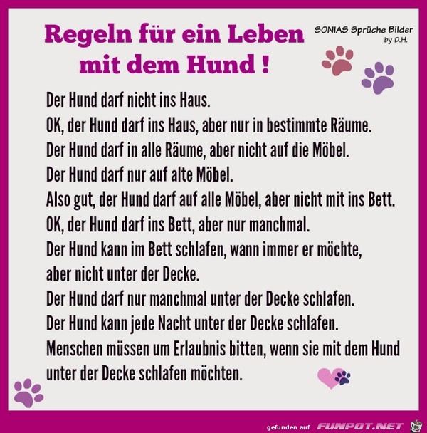 Regeln Regeln