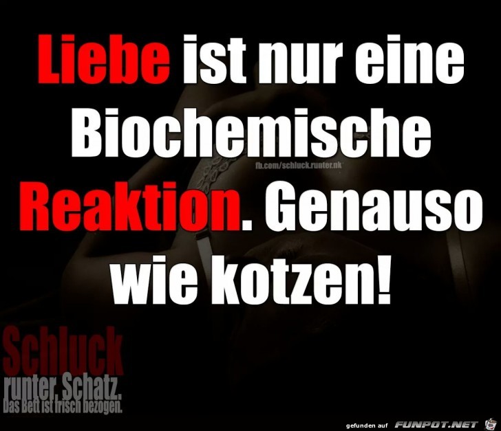 Reaktion Reaktion