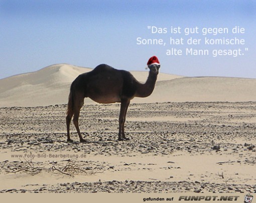 gut gegen Sonne gut gegen Sonne