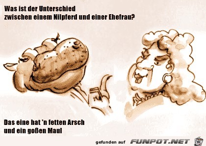Nilpferd Nilpferd