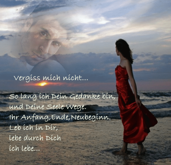 vergiss mich nicht vergiss mich nicht