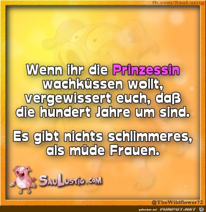 Wenn-ihr-die-Prinzessin-wachkuessen-wollt