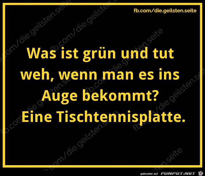 Tischtennisplatte Tischtennisplatte