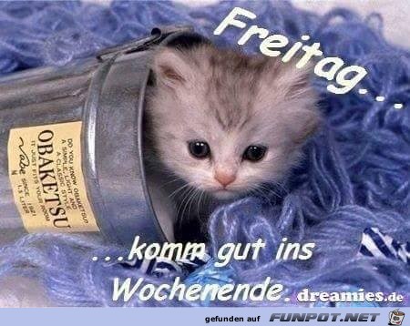 Freitag 