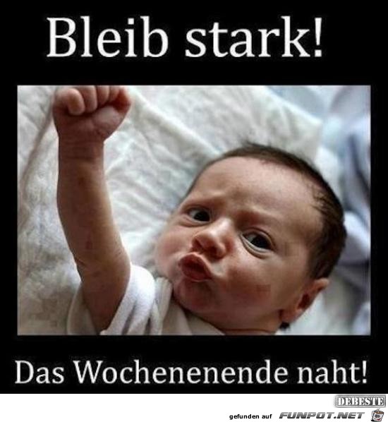 bleib stark 