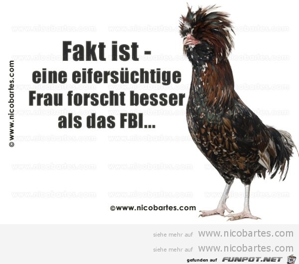 Fakt ist Fakt ist