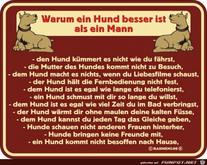 warum ein Hund besser ist als ein Mann warum ein Hund besser ist als ein Mann