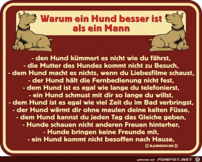 warum ein Hund besser ist als ein Mann 