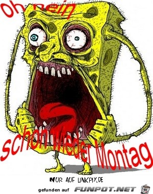 oooh nein schon wieder oooh nein schon wieder