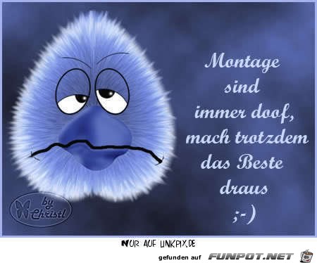 Montage sind immer dooof Montage sind immer dooof