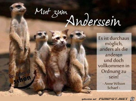 Anders Sein