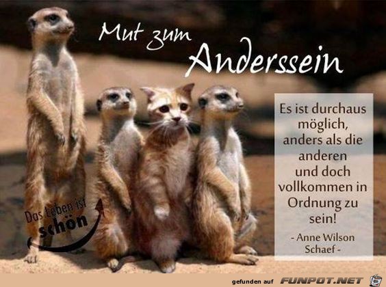 anders sein