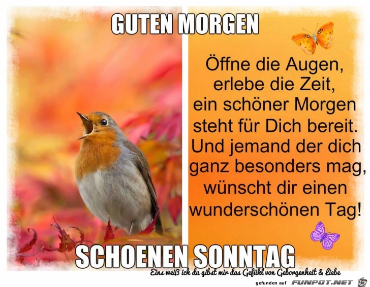 Guten Morgen- 