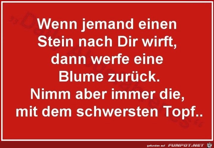 wenn jemand einen Stein nach dir wirft wenn jemand einen Stein nach dir wirft