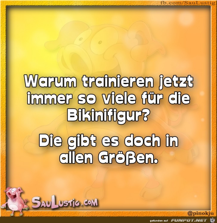 Warum-trainieren-alle Warum-trainieren-alle