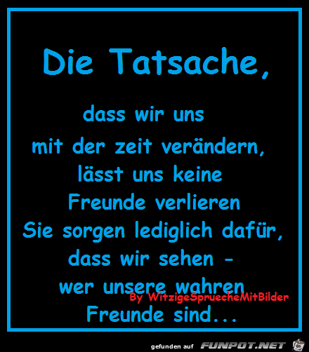 Die Tatsache 