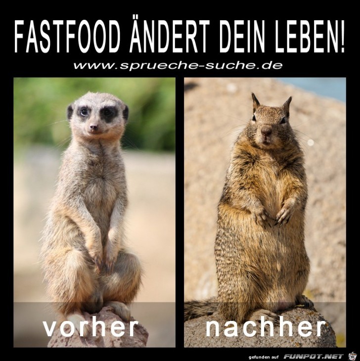 Fastfood Fastfood