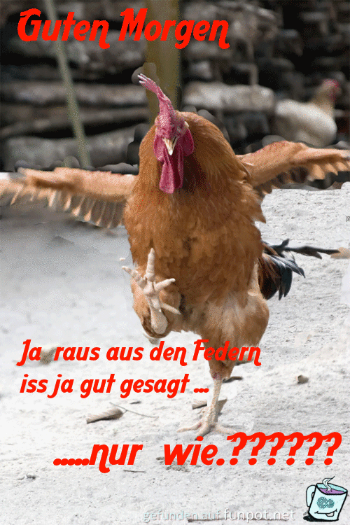 raus aus den Federn raus aus den Federn