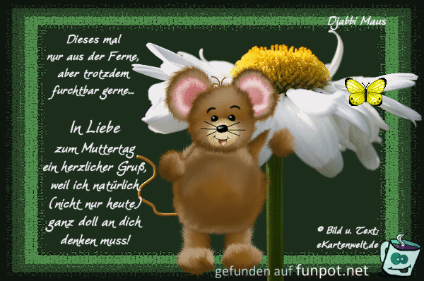 dieses Mal nur aus der Ferne dieses Mal nur aus der Ferne