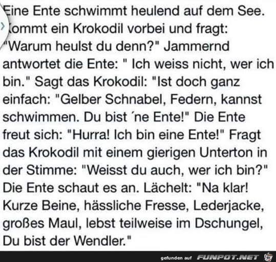 Ente Schwimmt Ente Schwimmt