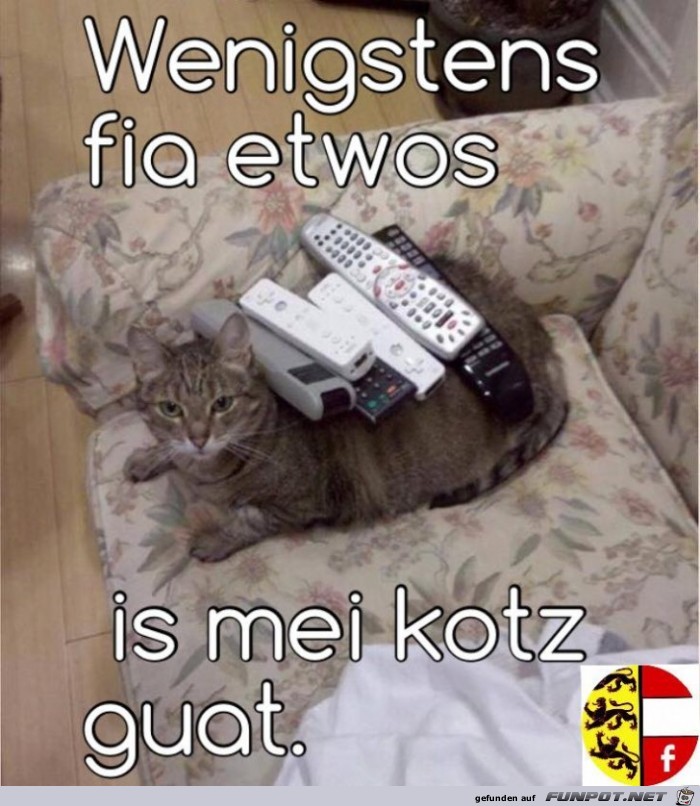 Wenigstens