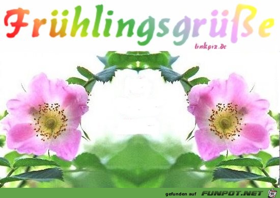 Fruehlingsgruesse