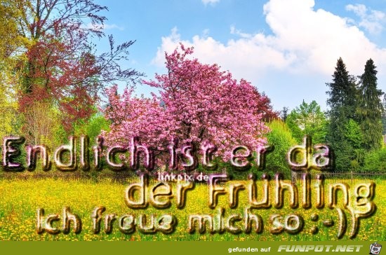 ich freu mich so ich freu mich so