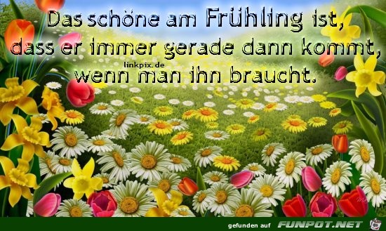 das schoene am Fruehling ist das schoene am Fruehling ist
