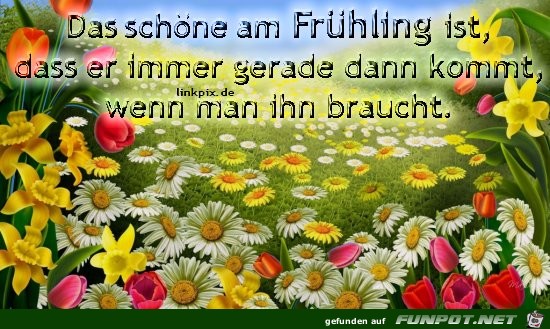 das schoene am Fruehling ist 