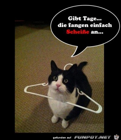 Manche Tage Manche Tage