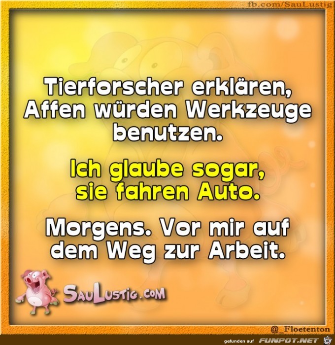 Tierforscher-erklaeren Tierforscher-erklaeren