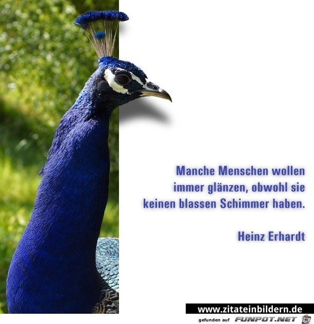 menschen glaenzen menschen glaenzen