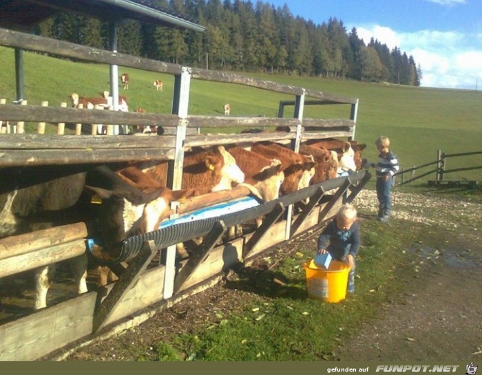 Fuetterung Fuetterung