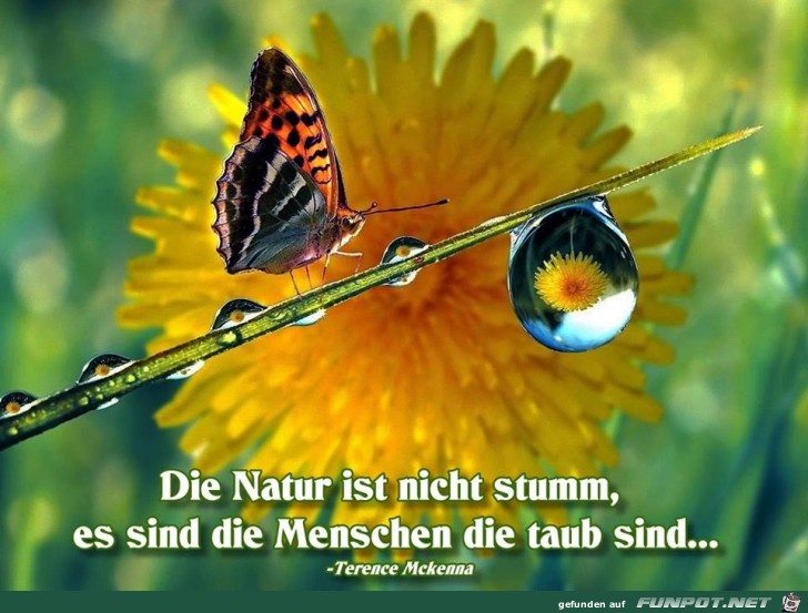 Die Natur Die Natur