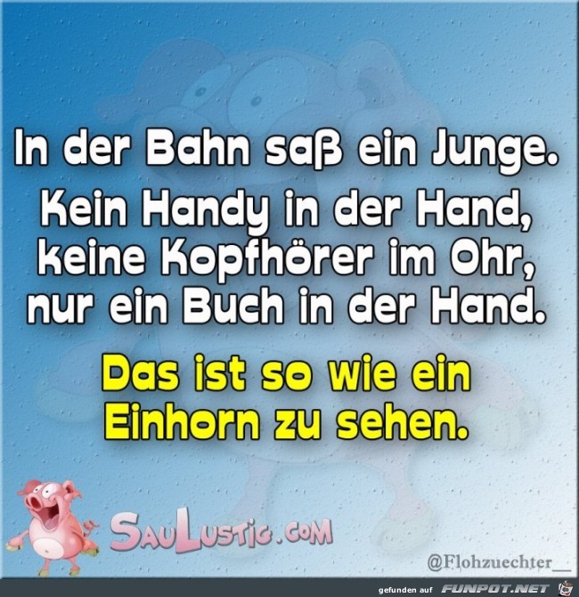 Einhorn Einhorn