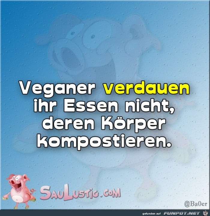 Kompost Kompost