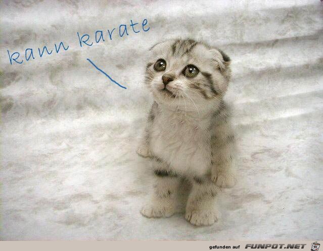Ich kann Karate Ich kann Karate