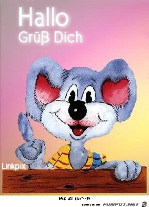 Hallo Hallo