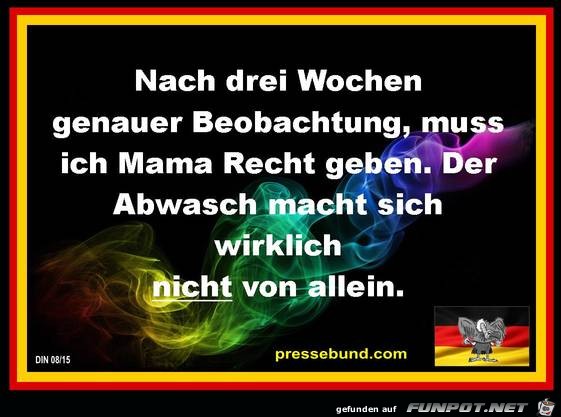 nach 3 Wochen nach 3 Wochen